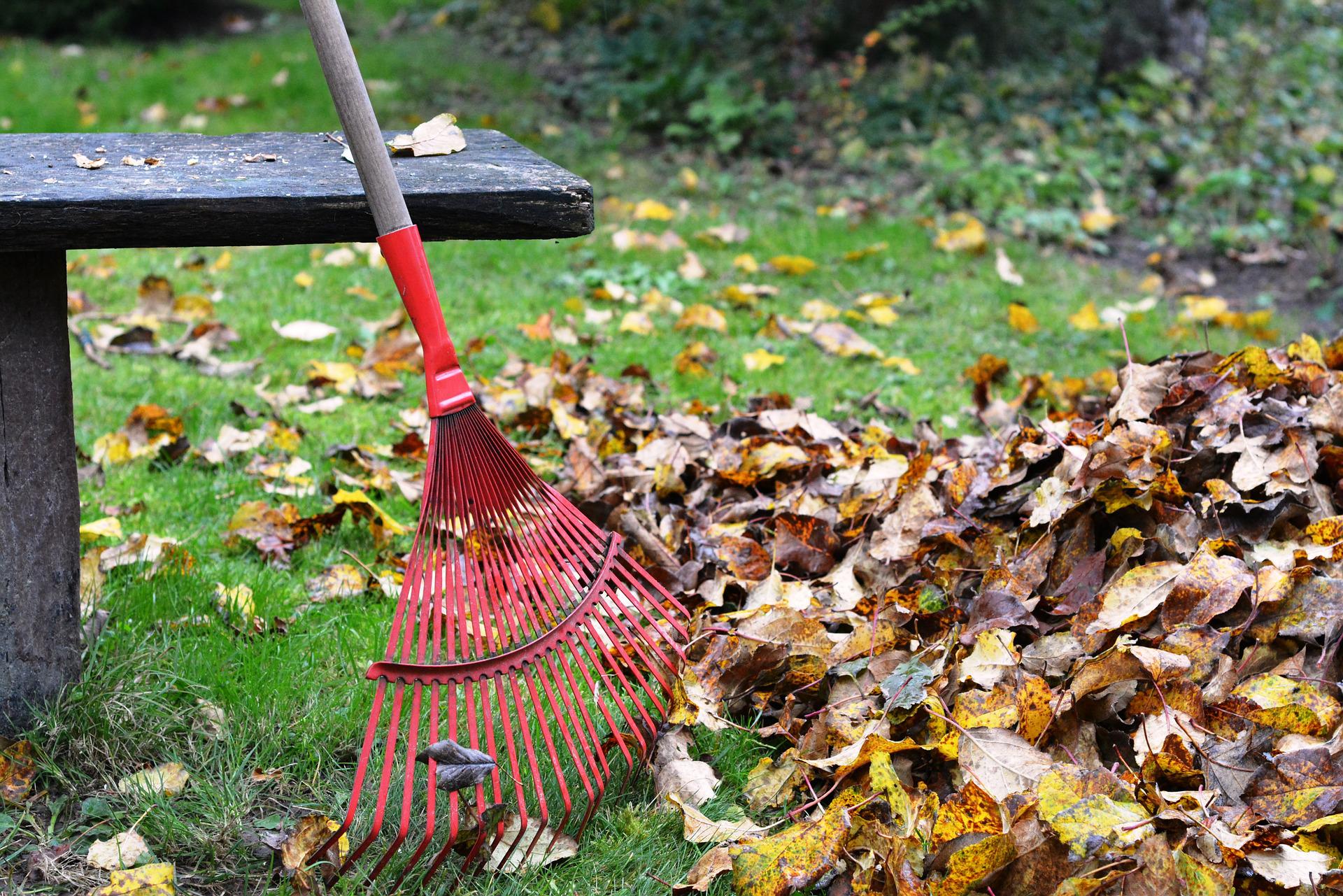 servicio de Jardineria